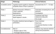 Gi Infection Flashcards Cram Com