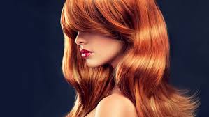 Hairdressing salon in hagerstown, maryland. Reviews Signature Hair Salon Hairdressing In Maryland Trustreviewers Com