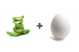It also helps in the improvement of the hair follicles and helps in the boosting of hair growth likewise make it grow faster. Hair Regrowth How To Use Aloe Vera Gel For Hair Growth Be Beautiful India