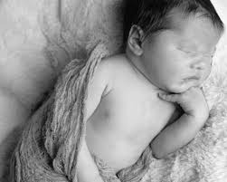 Shauna Emmons Photography