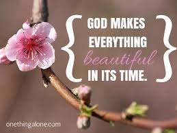 Let me ask you a question, which is the most beautiful flower in the world i know you are confused because all the flowers seem beautiful and it is very difficult to list the … Don T Discount The Blooms One Thing Alone