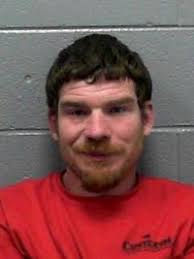 Lumberport man pleads guilty to arson, battery charges