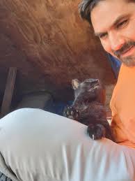 Saying goodbye to a beloved feral cat