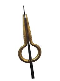 Image result for Harpachne