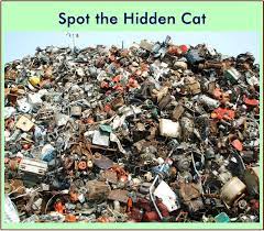 If you need solution for help her find the cat from level 287 braindom: Picture Riddle Spot The Hidden Cat Bhavinionline Com