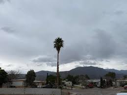 November 17 and all the trees still have most of their leaves. Beautiful  Desert.