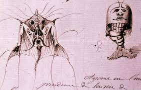 Félix-Archimède Pouchet, professeur de sciences naturelles de Flaubert