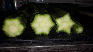 Oven temperatures are far, far, far. Cutting Up My Humble Cacti Collection Generic Welcome To The Dmt Nexus