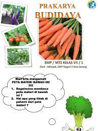 Jual buku prakarya smp kelas 7 semester 2 k13 revisi 2017 kab. Prakarya Kelas 7 Budidaya