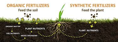 Image result for which of the following is a synthetic fertilizer course hero