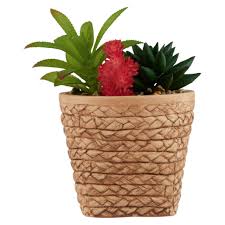 Cactus fries with avocado dipping sauce. Cactus In Basket Artificial Plants Flowers Decor Household Checkers Za
