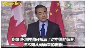 Image result for 王毅老婆