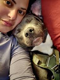 Hello, I'm looking for a Blue Line dog with cropped ears. Does anyone have  one? I'm from Berlin. I'd appreciate any feedback.🙂