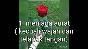 Gambar bunga mawar dan kata mutiara. Wanita Ibarat Bunga Mawar Youtube