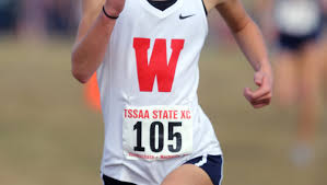 Senior Jacob Etheridge helps Oak Ridge take 3rd in state cross country