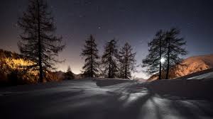 1280x720 Wallpaper Winter Trees Snow Night Landscape Pemandangan Fotografi Pemandangan Fotografi