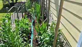 Image result for how far should a soaker hose be from the foundation