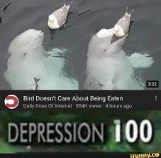 Bird Doesn T Care About Being Eaten Bird Doesn T Care About Being Eaten Daily Dose Of Internet 854k Views 4 Hours Ago Ifunny Really Funny Memes Funny Memes Funny Relatable Memes