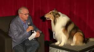 Hard times come for the carraclough family and they are forced to sell their dog, lassie, to the rich duke of rudling. Lassie Interviewed Before Lassie Come Home 1943 Youtube