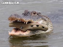 Take a look at some of the epic photoshop fails of all time. Funniest Animal Fails