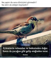 Murat Ozturkoglu Adli Kullanicinin Kisisel Ve Manevi Gelisim Panosundaki Pin Resimler Yolculuk Resim