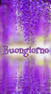 Immagini Di Buongiorno Proverbibelli It Fotografia Natura Fotografia Di Fiori Foto Di Fiori