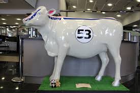 Herbie-Vore | Guernsey Cows on Parade Artist - Bodyline & Si… | Flickr