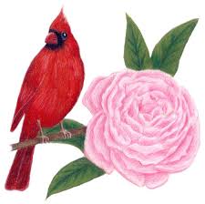 Birds Of Northern Indiana Indiana State Bird And Flower State Birds Botanical Art Indiana State