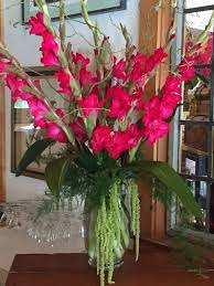 Gladiolus arrangement pictures