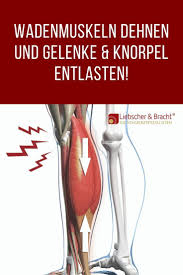 Knieschmerzen sind häufig und können ein symptom für viele verschiedene. Der Knieretter Knieschmerzen Schmerz Wadenmuskeln