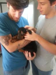 Mi esprimo meglio anche nel. Myrta Merlino Na Twitterze Giornata Di Gioia Pietro E Giulio Hanno Adottato Un Cucciolo Adorabile Falloanchetu Muratella Http T Co Rfxkuslmqa