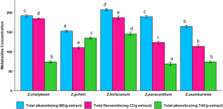 Image result for Zanthoxylum holtzianum
