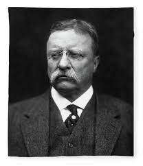 Theodore Roosevelt National Park Fleece Blankets for Sale