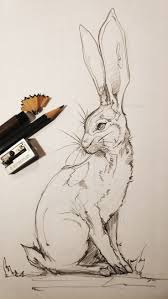 How To Draw Easter Bunny Bunny Drawing Easter Drawings Bunny Art