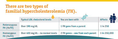 Image result for Hypercholesterolemia