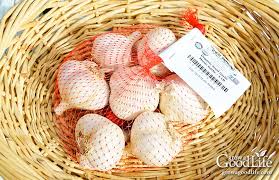 Purchase garlic heads that are intended for planting because garlic in grocery produce sections may have been treated to prevent them from sprouting. 7 Tips For Growing Great Garlic