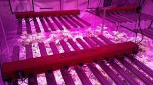 C $10.06 to c $11.18. 4 Bml Spydr 1200 Led Lights W Current Culture Youtube