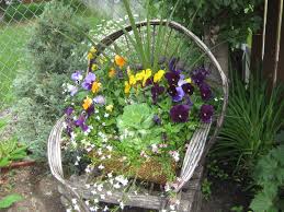 Rustic Wicker Chair With Pansy Flower Pot Tip These Pansies Thrived Throughout The Summer In A Semishade Envi Flower Pot Design Pansies Flowers Flower Pots