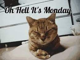 # baby # monday # mondays # ugh mondays. Pin On For Karen Love Sizzle