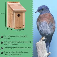 As you can imagine, there are thousands of different plans for birdhouses available online. Bluebird House Diy Craft Kit