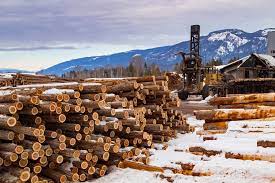 In the early 1940s, robinson lumber began sawmilling and export operations in puerto cabezas, nicaragua. Top Lumber Companies And Suppliers In The U S