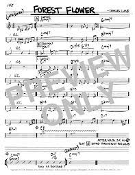 Flowers of the forest sheet music. Forest Flower Sheet Music Charles Lloyd Real Book Melody Chords C Instruments