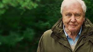 David attenborough narrates the story of rodrigo medellin. David Attenborough A Life On Our Planet Netflix Official Site