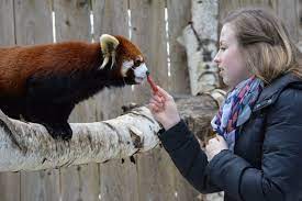 Animal Encounters New York Zoo Animals Zoo