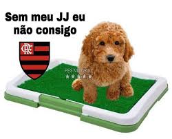 The fila brasileiro is one of those rare dog breeds where if you haven't heard of them before, we really can't blame you for that, after all, they really aren't all that common. Flamengo Estreia No Brasileirao Com Derrota E Web Nao Perdoa Veja Memes Galerias