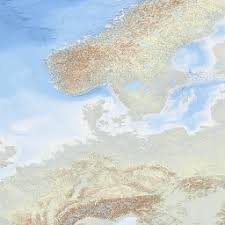 Image result for Cyclocotyla