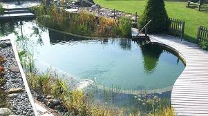 Amazing Natural Pools Where The Plants Filter The Water Natural Pool Natural Swimming Pools Natural Swimming Ponds