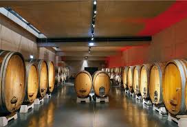 Fritz keller weingut architektur are a theme that is being searched for and liked by netizens nowadays. Deutsche Bauzeitschrift