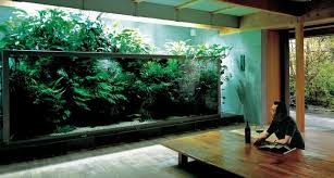 The Dirted Aquarium Substrate Part 2