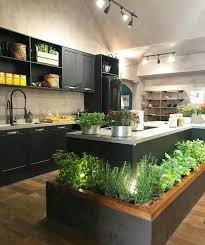 32 Amazing Indoor Garden Ideas You Will Fall For Kitchen Herbs Herb Garden In Kitchen Kitchen Cabinet Design